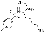CAS 登录号：2104-86-1， N-(7-氨基-1-氯-2-氧代庚烷-3-基)-4-甲基苯磺酰胺