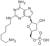 CAS#: 214276-80-9, 2-[(6-Aminohexyl)Amino]-Adenosine Cyclic 3',5'-(Hydrogen Phosphate)