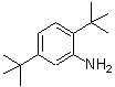 CAS 登录号：21860-03-7， 2,5-二(2-甲基-2-丙基)苯胺