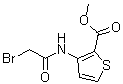 CAS 登录号：227958-47-6， 3-[(溴乙酰基)氨基]-2-噻吩羧酸甲酯