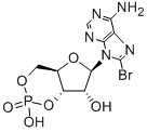 CAS#: 23583-48-4, 8-Bromo-Adenosine Cyclic 3',5'-(Hydrogen Phosphate)