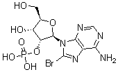 CAS 登录号：23583-49-5， 8-溴-2'-腺苷酸