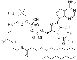CAS#: 25045-61-8, Coenzyme A-S-Nonadecanoate