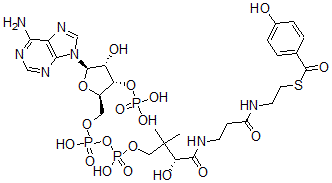 CAS#: 27718-41-8, 4-Hydroxybenzoyl-Coenzyme A