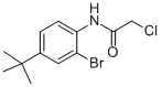 CAS#: 287923-75-5, N1-[2-Bromo-4-(Tert-Butyl)Phenyl]-2-Chloroacetamide