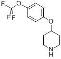 CAS#: 287952-67-4, 4-[4-(Trifluoromethoxy)Phenoxy]Piperidine