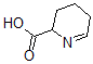 CAS#: 3038-89-9, 2,3,4,5-Tetrahydropyridine-2-Carboxylic Acid