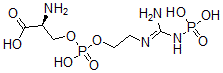 CAS 登录号：3160-53-0， (2S)-2-氨基-3-[2-[[氨基-(膦酰氨基)亚甲基]氨基]乙氧基-羟基磷酰]氧基丙酸