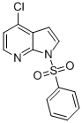 CAS 登录号：348640-05-1， 4-氯-1-(苯磺酰基)-1H-吡咯并[2,3-b]吡啶