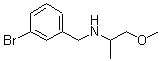 CAS#: 355815-55-3, N-(3-Bromobenzyl)-1-Methoxy-2-Propanamine