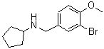CAS 登录号：355815-73-5， N-(3-溴-4-甲氧基苄基)环戊烷胺