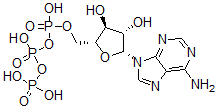 CAS#: 3714-60-1, [(2R,3S,4S,5R)-5-(6-Aminopurin-9-Yl)-3,4-Dihydroxyoxolan-2-Yl]Methyl (Hydroxy-Phosphonooxyphosphoryl) Hydrogen Phosphate