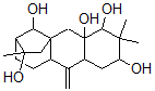 CAS#: 38302-26-0, (2S-(2alpha,4alpha,4abeta,5abeta,7beta,8beta,10aalpha,11alpha-alpha,12S*))-Dodecahydro-3,3,7-Trimethyl-11-Methylene-5a,8-Methano-5aH-Cyclohepta(b)Naphthalene-2,4,4a,7,12(5H)-Pentol