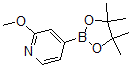 CAS#: 408502-23-8, 2-Methoxypyridine-4-boronic acid, pinacol ester