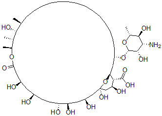 CAS#: 40904-73-2, Tetradecahydro-Amphotericin B