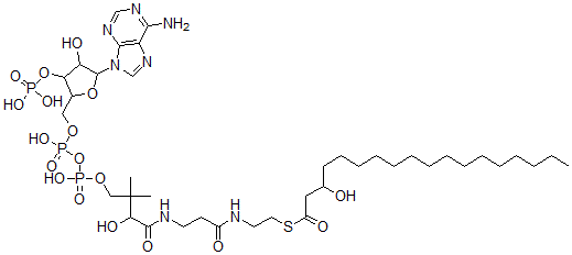 CAS#: 42578-91-6, 3-Hydroxyoctadecanoyl-Coenzyme A