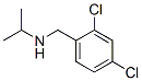 CAS#: 46190-62-9, 2,4-Dichloro-N-Isopropylbenzylamine