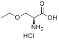 CAS 登录号：4775-82-0， (S)-2-氨基-3-乙氧基-丙酸盐酸盐