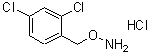 CAS 登录号：51572-93-1， 1-[(氨基氧基)甲基]-2,4-二氯苯盐酸盐