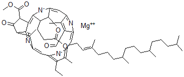 CAS 登录号：519-63-1， 叶绿素 D
