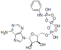 CAS#: 52830-41-8, Adenosine triphosphate gamma-anilide