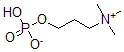 CAS 登录号：53218-02-3， 磷酰高胆碱