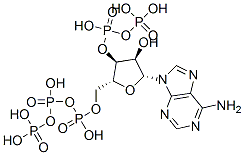 CAS 登录号：53951-06-7， 腺苷 5'-三磷酸酯 3'-二磷酸酯