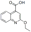 CAS 登录号：5467-62-9， 2-乙氧基金鸡纳酸