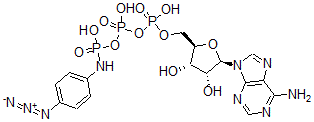 CAS#: 54687-13-7, Adenosine triphosphate gamma-4-azidoanilide