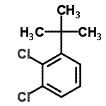 CAS 登录号：54932-64-8， 1,2-二氯-3-(2-甲基-2-丙基)苯
