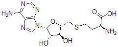 CAS 登录号：55267-52-2， S-(5-(9-阿拉伯呋喃糖基腺嘌呤基))-L-高半胱氨酸
