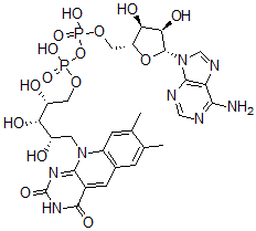 CAS 登录号：57818-88-9， 5-脱氮黄素腺嘌呤二核苷酸