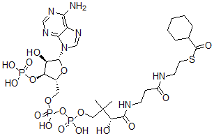 CAS 登录号：5960-12-3， 环己烷羧基-辅酶 A