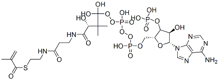CAS#: 6008-91-9, [(2R,3R,4R,5R)-5-(6-Aminopurin-9-Yl)-4-Hydroxy-2-[[Hydroxy-[Hydroxy-[3-Hydroxy-2,2-Dimethyl-3-[2-[2-(2-Methylprop-2-Enoylsulfanyl)Ethylcarbamoyl]Ethylcarbamoyl]Propoxy]Phosphoryl]Oxy-Phosphoryl]Oxymethyl]Oxolan-3-Yl]Oxyphosphonic Acid