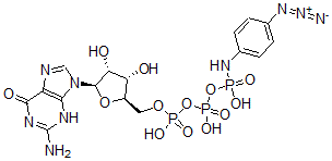 CAS 登录号：60869-76-3， 三磷酸鸟苷 gamma-4-叠氮基苯胺