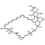CAS#: 62008-36-0, Methyl 33-[(3-Acetamido-3,6-Dideoxyhexopyranosyl)Oxy]-1,3,5,6,9,11,17,37-Octahydroxy-15,16,18-Trimethyl-13-Oxo-14,39-Dioxabicyclo[33.3.1]Nonatriaconta-19,21,23,25,27,29,31-Heptaene-36-Carboxylate