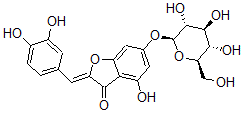 CAS#: 633-15-8, 2-[(Z)-(3,4-Dihydroxyphenyl)Methylene]-4-Hydroxy-6-(beta-D-Glucopyranosyloxy)-3(2H)-Benzofuranone