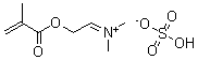 CAS#: 67939-26-8, (2-(Methacryloyloxy)Ethyl)Dimethylammonium Hydrogen Sulphate