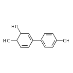 CAS 登录号：69432-59-3， 4-(4-羟基苯基)-3,5-环己二烯-1,2-二醇