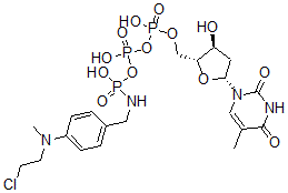 CAS 登录号：69564-70-1， 胸苷 5'-(三氢二磷酸酯)与((4-((2-氯乙基)甲基氨基)苯基)甲基)氨基磷酸 P'-酸酐