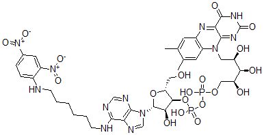 CAS#: 73121-99-0, [[(2S,3R,4R)-5-(7,8-Dimethyl-2,4-Dioxobenzo[g]Pteridin-10-Yl)-2,3,4-Trihydroxypentoxy]-Hydroxyphosphoryl] [(2R,3S,4R,5R)-5-[6-[6-[(2,4-Dinitrophenyl)Amino]Hexylamino]Purin-9-Yl]-4-Hydroxy-2-(Hydroxymethyl)Oxolan-3-Yl] Hydrogen Phosphate