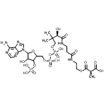 CAS#: 73173-92-9, Coenzyme A,S-[(R)-hydrogen methylpropanedioate]