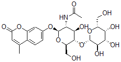CAS 登录号：73448-32-5， N-[(2S,3R,4R,5S,6R)-4-羟基-6-(羟基甲基)-2-(4-甲基-2-氧代苯并吡喃-7-基)氧基-5-[(2S,3R,4S,5R,6R)-3,4,5-三羟基-6-(羟基甲基)四氢吡喃-2-基]氧基四氢吡喃-3-基]乙酰胺