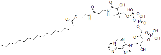 CAS#: 73945-37-6, Stearoyl-(1,N(6))-etheno-coenzyme A