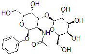 CAS#: 74211-30-6, N-[(2R,3R,4R,5R,6R)-5-Hydroxy-6-(Hydroxymethyl)-2-(Phenoxy)-4-[(2R,3R,4S,5R,6R)-3,4,5-Trihydroxy-6-(Hydroxymethyl)Oxan-2-Yl]Oxyoxan-3-Yl]Acetamide