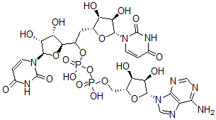 CAS 登录号：752-71-6， 尿苷酰基-(3'-5')-腺苷酰-(3'-5')尿苷