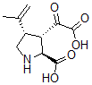 CAS 登录号：75232-58-5， (2S,3S,4S)-3-草酰-4-丙-1-烯-2-基吡咯烷-2-羧酸