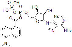 CAS#: 75352-13-5, [[(2R,3S,4R,5R)-5-(6-Aminopurin-9-Yl)-3,4-Dihydroxyoxolan-2-Yl]Methoxy-Phosphonooxyphosphoryl] 5-Dimethylaminonaphthalene-1-Carboxylate