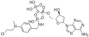 CAS 登录号：75795-00-5， [[(2R,3S,5R)-5-(6-氨基嘌呤-9-基)-3-羟基四氢呋喃-2-基]甲氧基-膦酰氧基磷酰]氧基-N-[[4-(2-氯乙基-甲基氨基)苯基]甲基]氨基磷酸