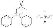 CAS 登录号：758720-38-6， 二环己基新戊基膦四氟硼酸盐